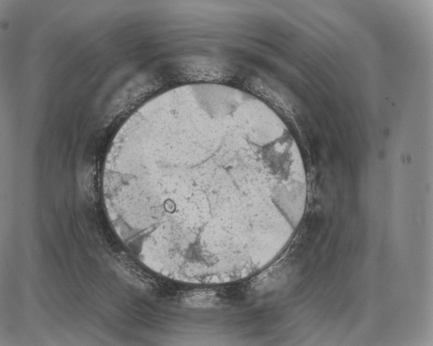 X0000085070162200704021420