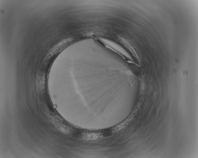 X0000085070163200704021420