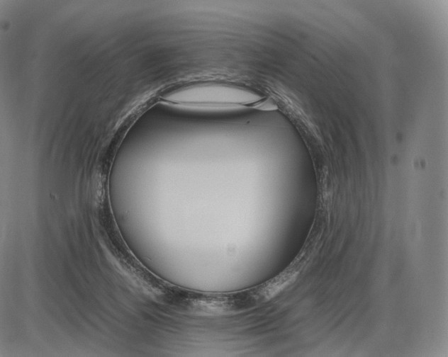 X0000085070164200704021420