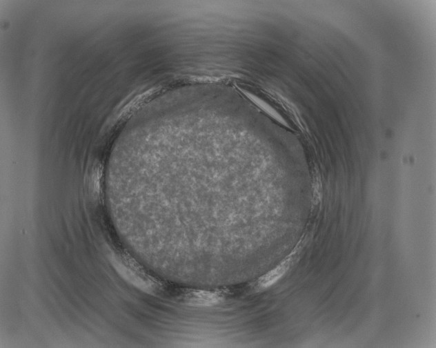 X0000085070166200704021420