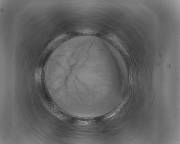 X0000085070167200704021420