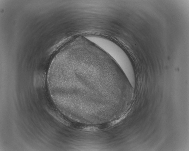 X0000085070168200704021420