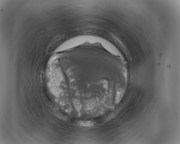 X0000085070169200704021420