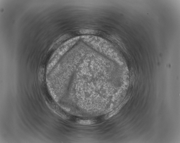 X0000085070171200704021420