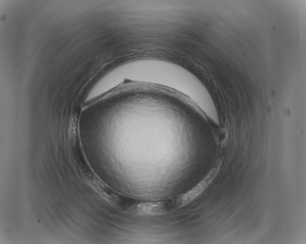 X0000085070172200704021420