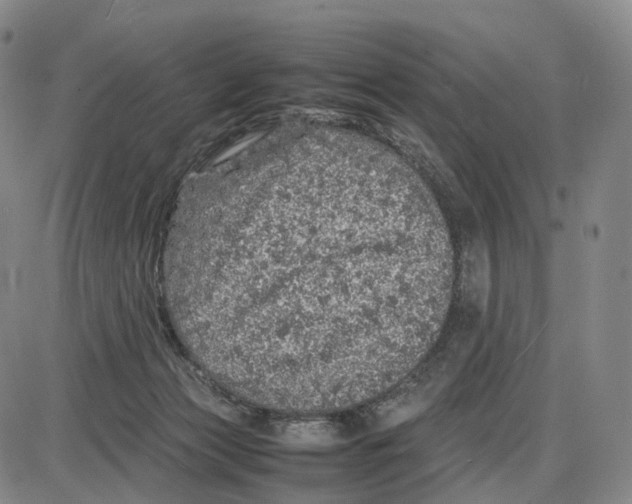 X0000085070173200704021420