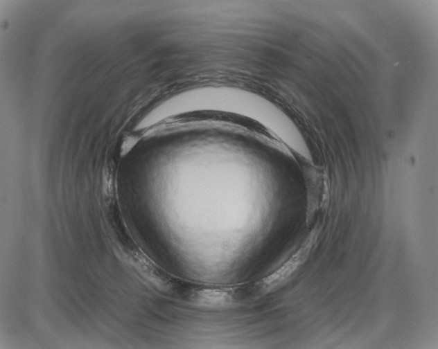 X0000085070176200704021420