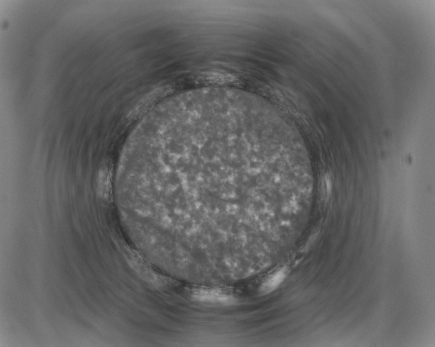 X0000085070177200704021420