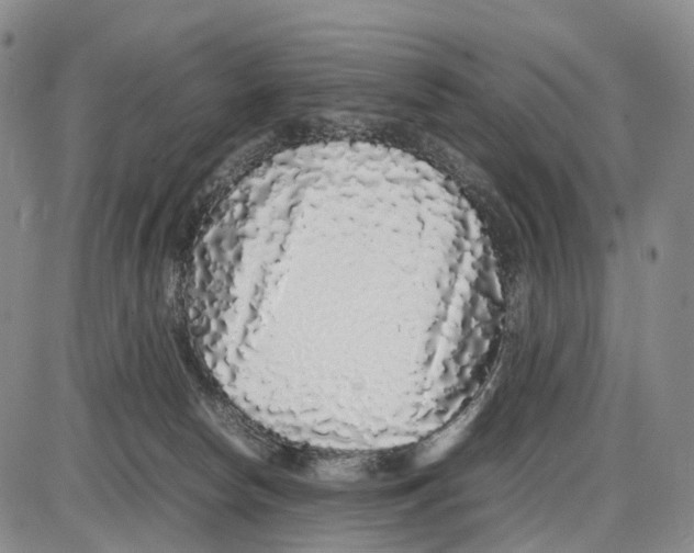 X0000085070178200704021420