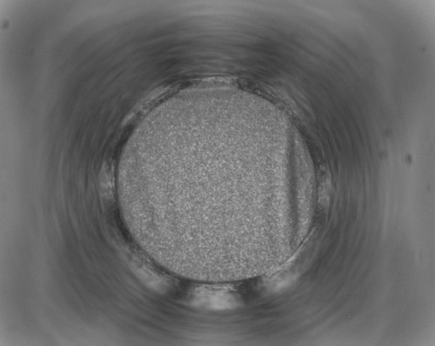 X0000085070179200704021420