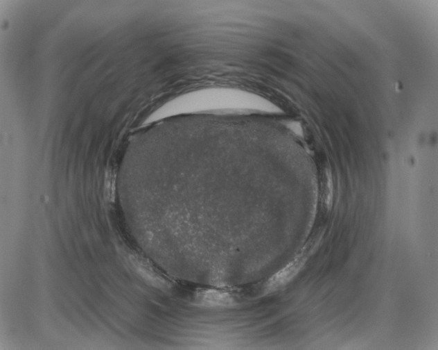 X0000085070180200704021420