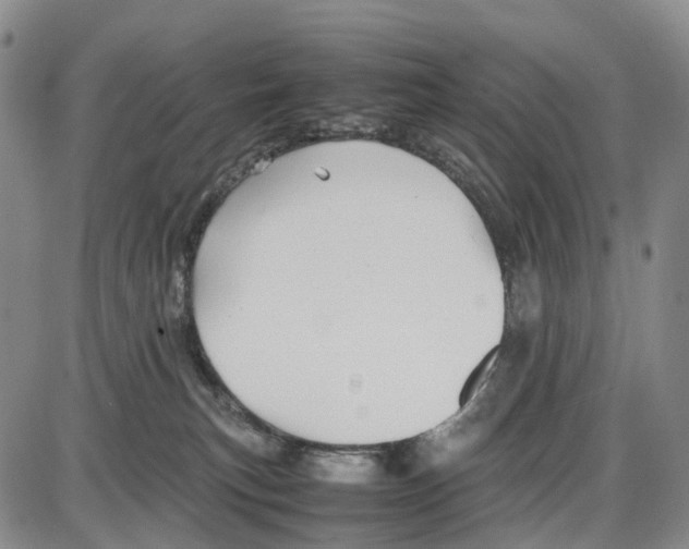 X0000085070183200704021420