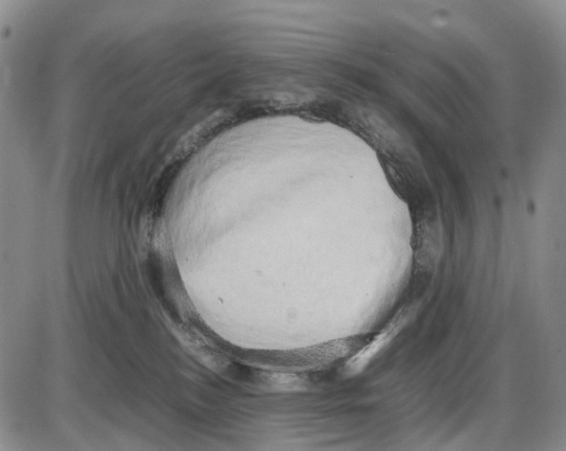 X0000085070184200704021420