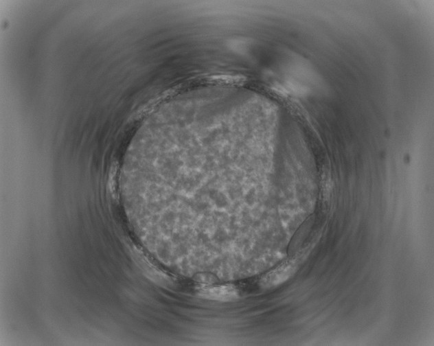 X0000085070185200704021420