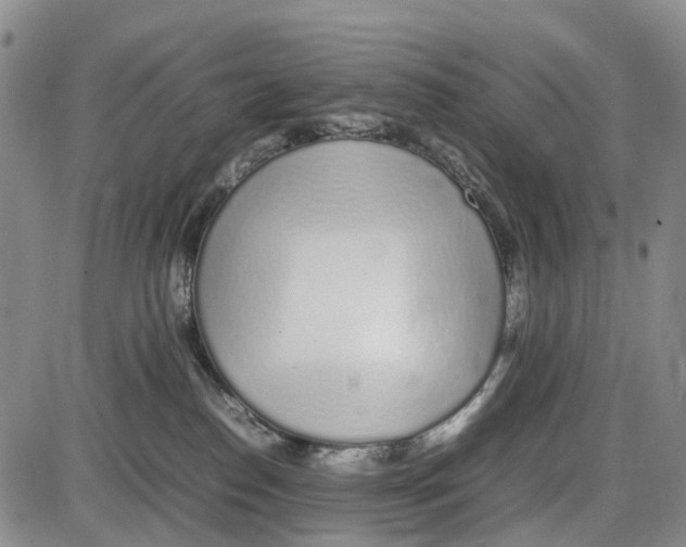 X0000085070186200704021420