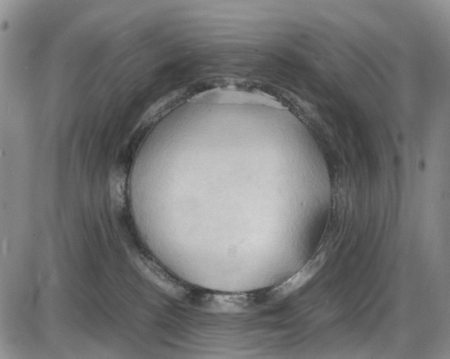 X0000085070188200704021420