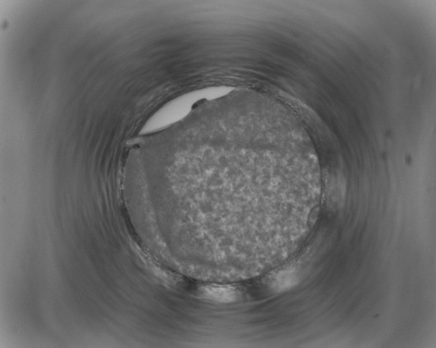 X0000085070189200704021420