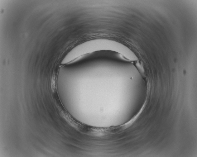 X0000085070190200704021420