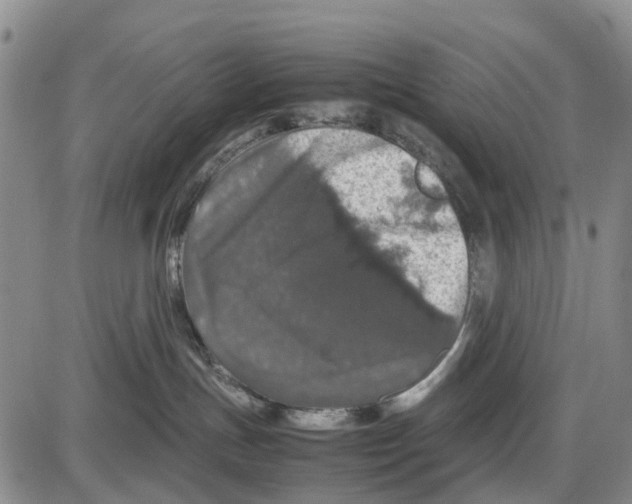 X0000085070191200704021420