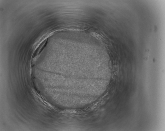 X0000085070194200704021420