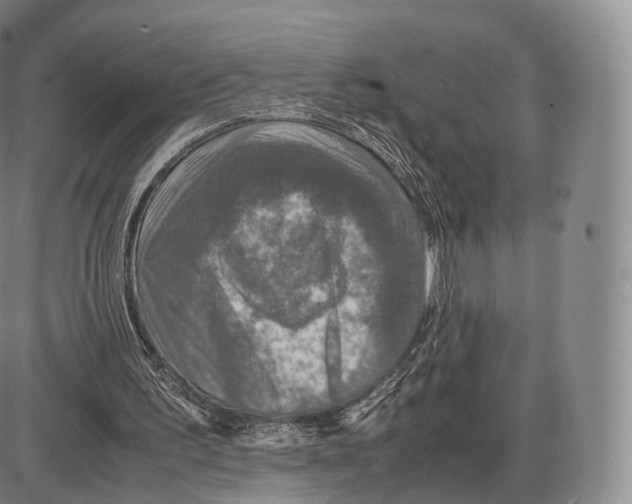 X0000085070195200704021420