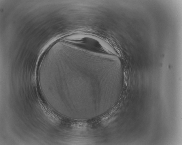 X0000085070196200704021419