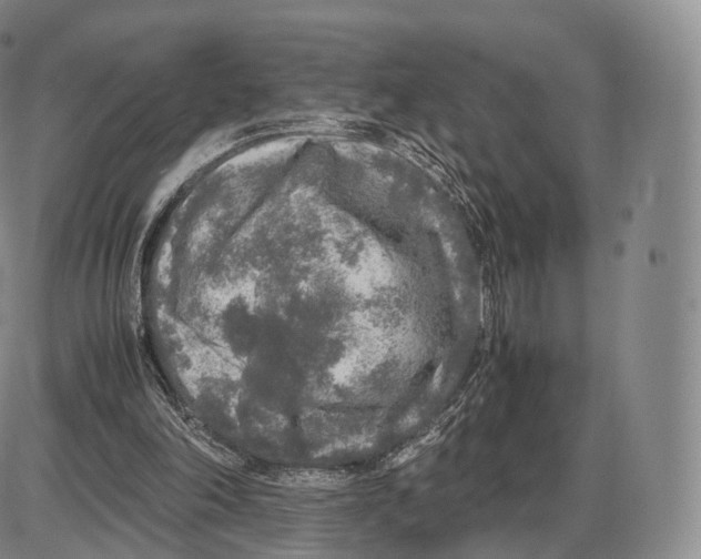 X0000085070198200704021419