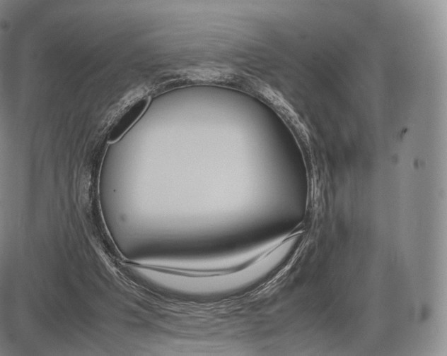 X0000085070201200704021419