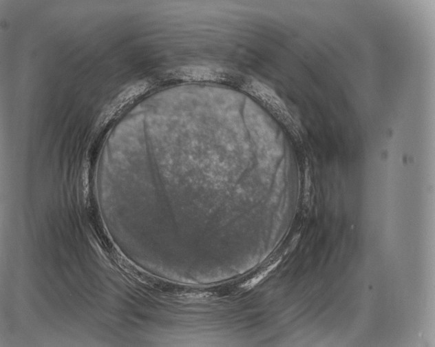 X0000085070202200704021419