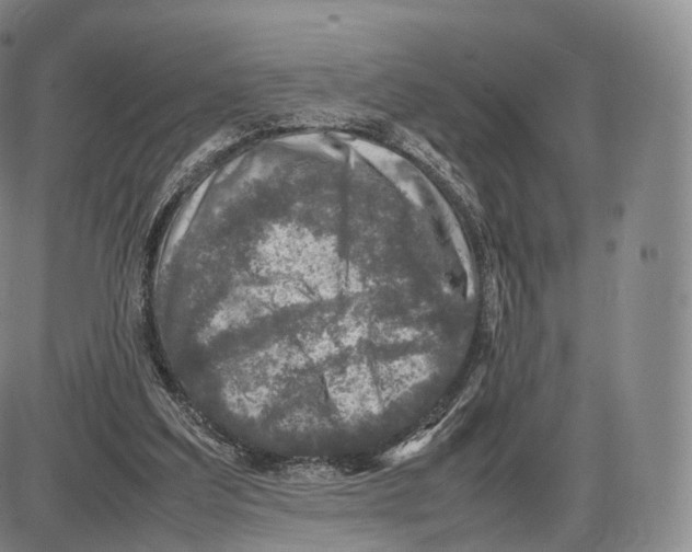 X0000085070203200704021419