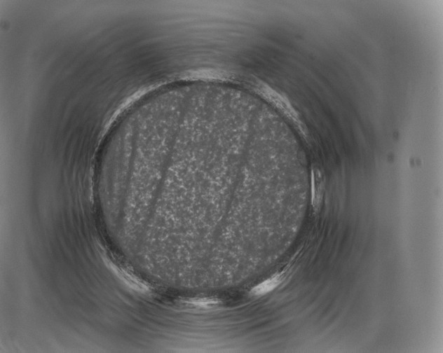 X0000085070204200704021419