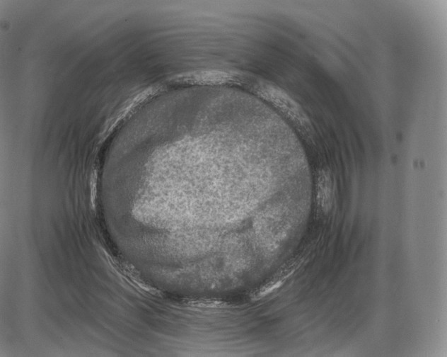 X0000085070206200704021419