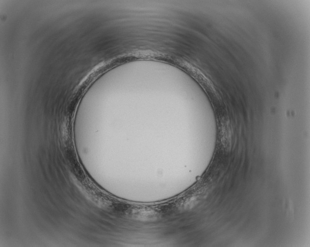 X0000085070208200704021419