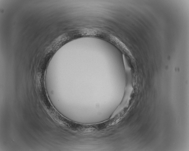 X0000085070209200704021419