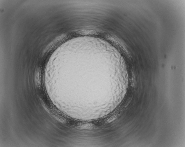 X0000085070210200704021419