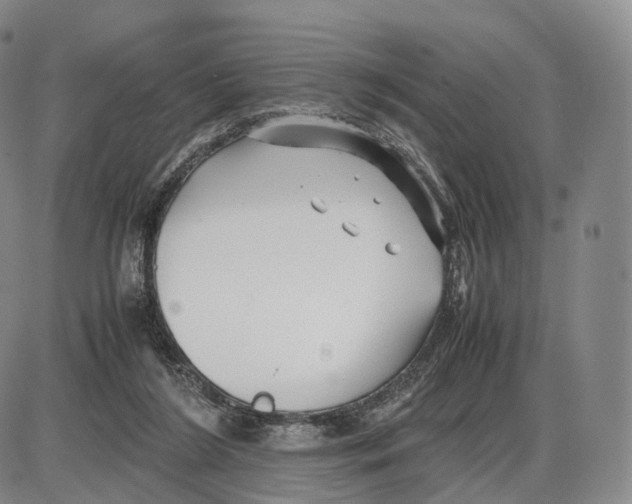 X0000085070212200704021419