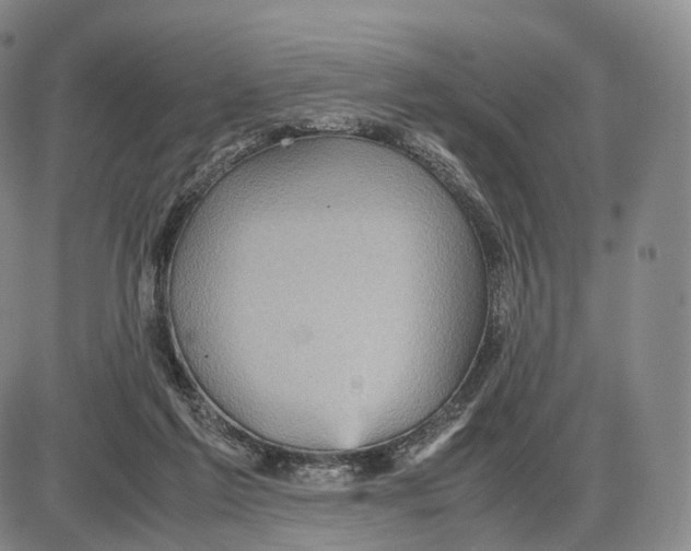 X0000085070213200704021419