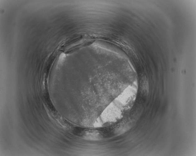 X0000085070214200704021419