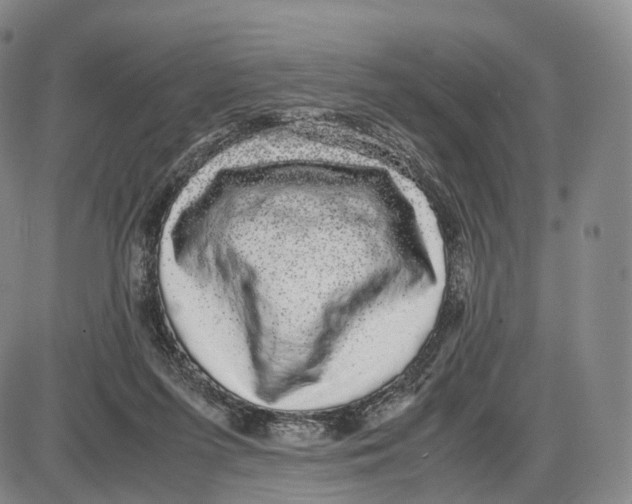 X0000085070215200704021419