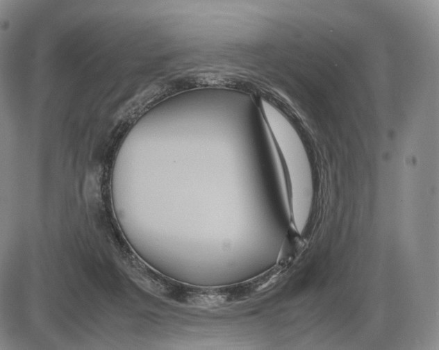 X0000085070217200704021419