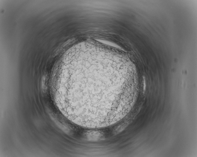 X0000085070218200704021419