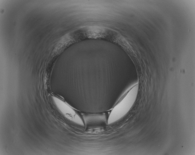 X0000085070219200704021419