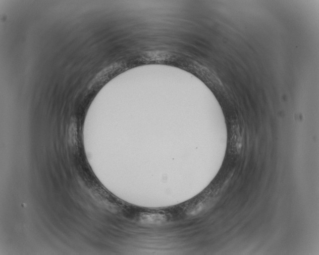 X0000085070220200704021419