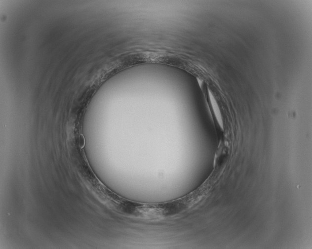 X0000085070221200704021419