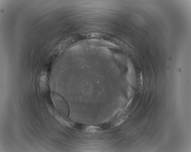 X0000085070222200704021419