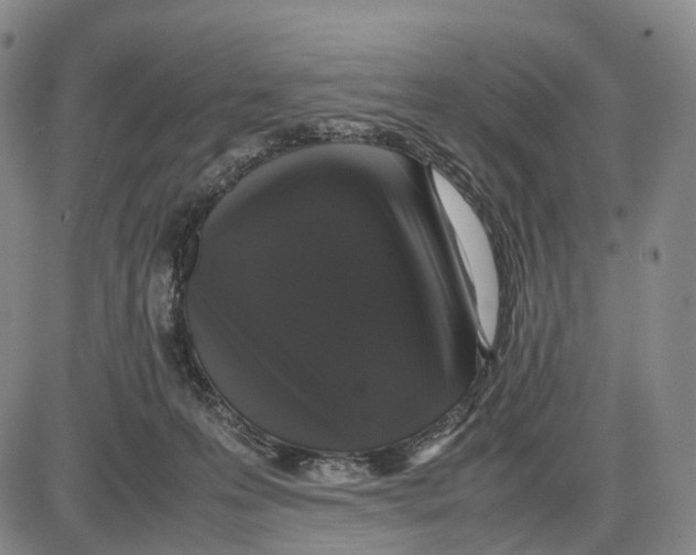 X0000085070223200704021419