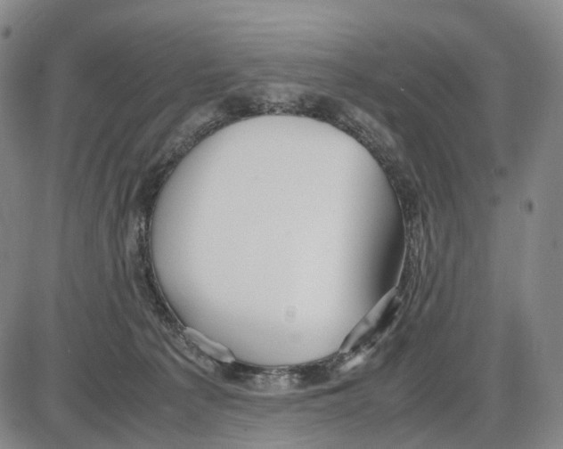 X0000085070225200704021419