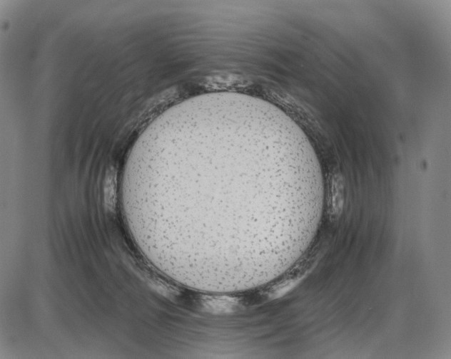 X0000085070226200704021419