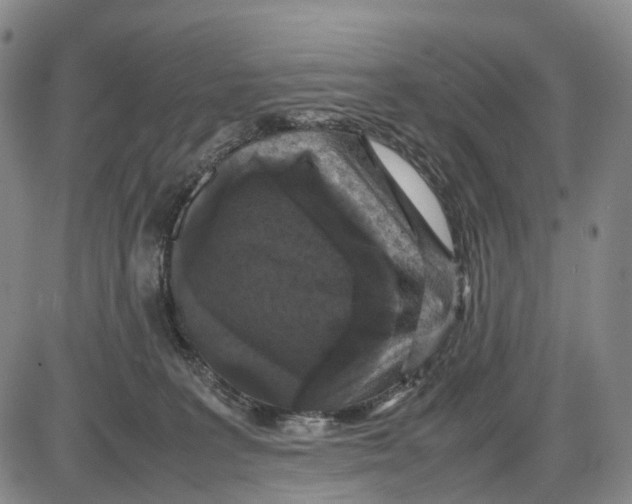 X0000085070227200704021419