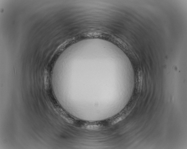 X0000085070228200704021419